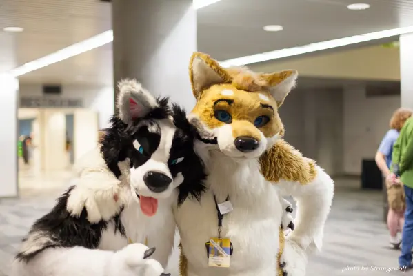 IMG_1241-lr16t.jpg of FC/FC2017/