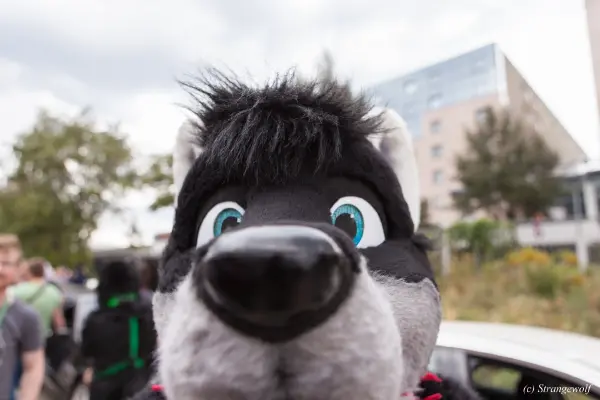 IMG_5260-lr19t.jpg of EF/EF24/