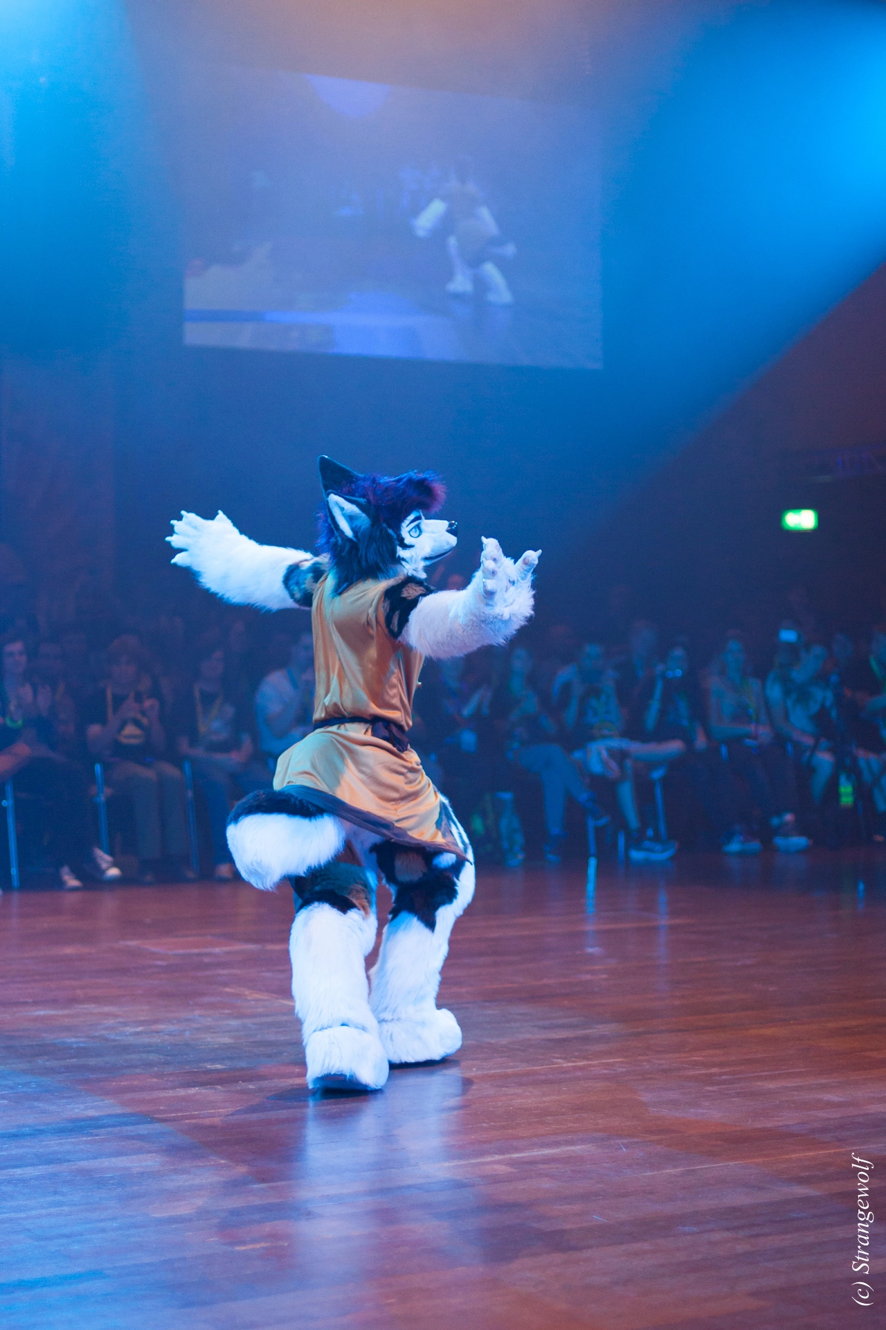 full image IMG_6474-lr19t.jpg