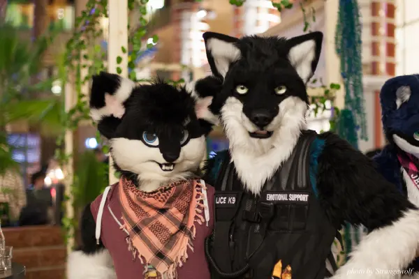 IMG_9224-lr19t.jpg of NFC/NFC2018/