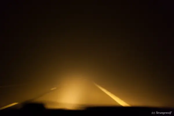 IMG_8523-lr19t.jpg of NFC/NFC2019/