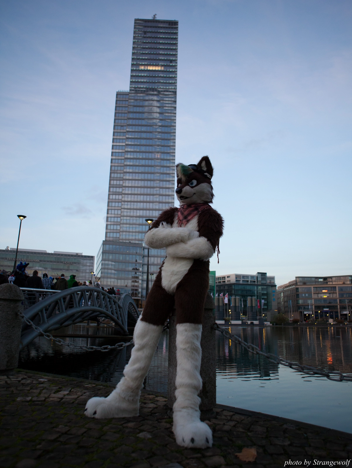 full image IMG_5354-lr16t.jpg