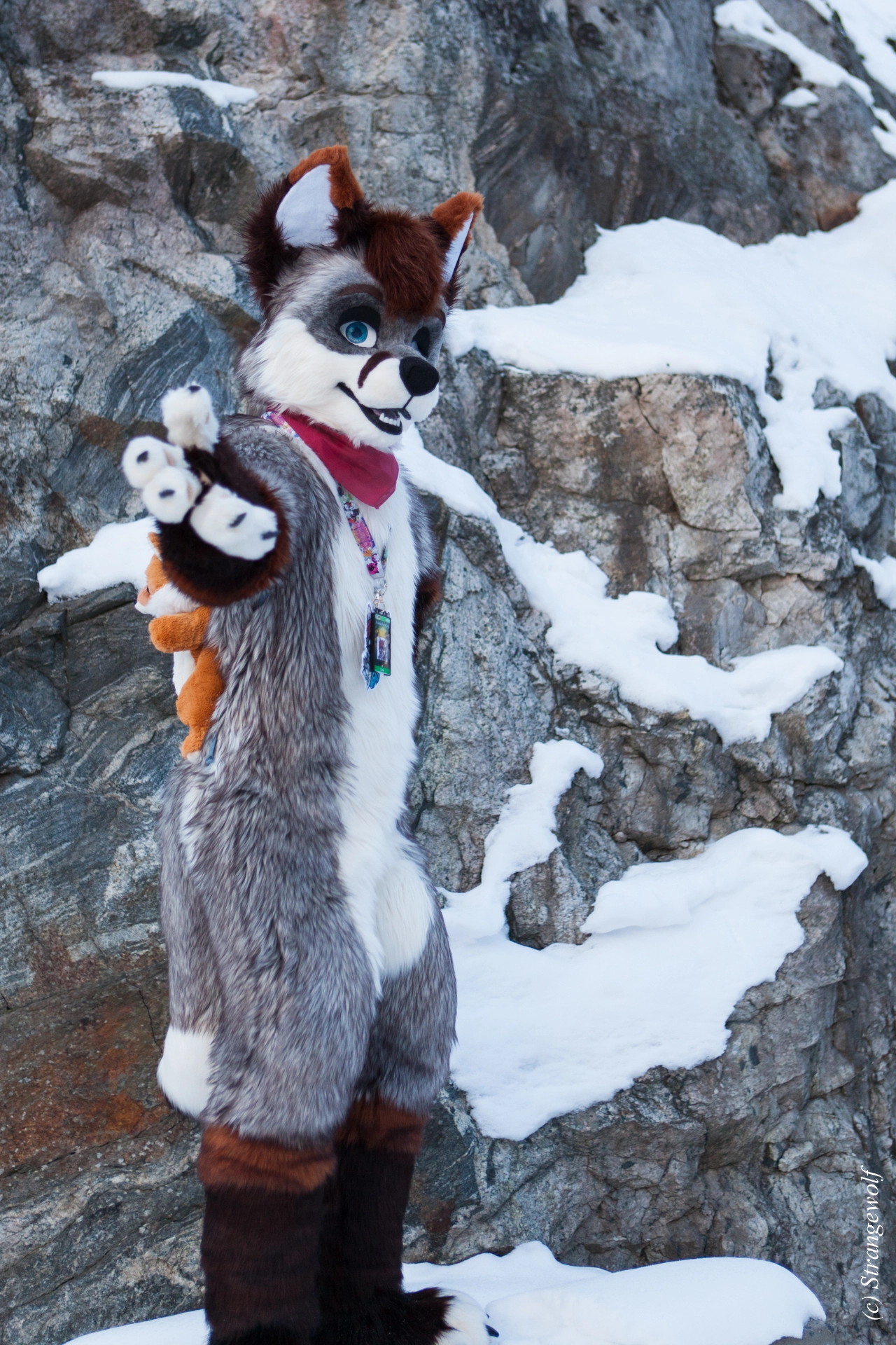 full image IMG_0636-lr19t.jpg