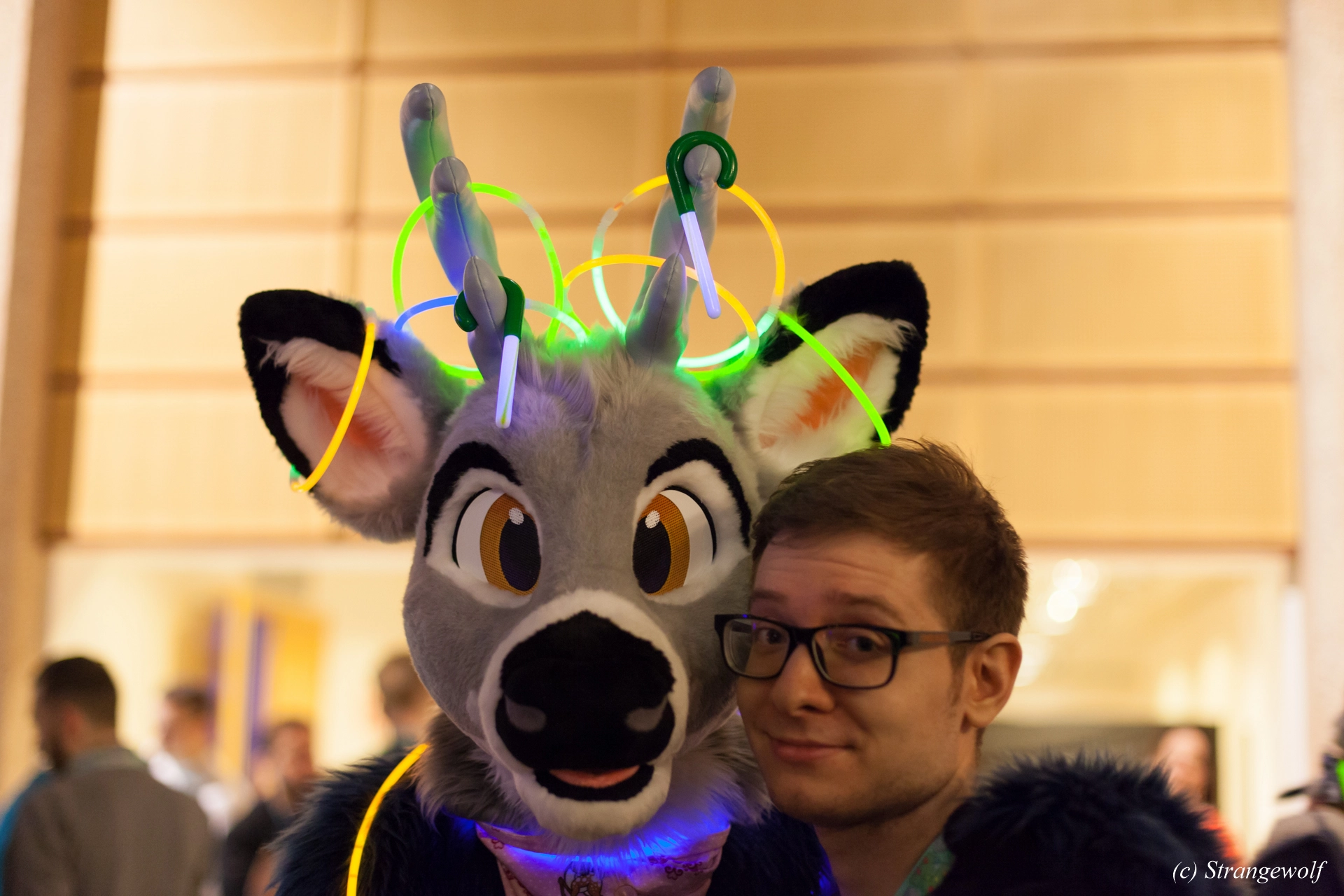 full image IMG_9838-lr19t.jpg