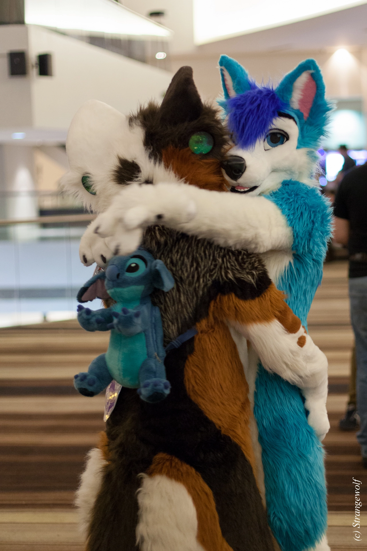 full image IMG_1896-lr19t.jpg