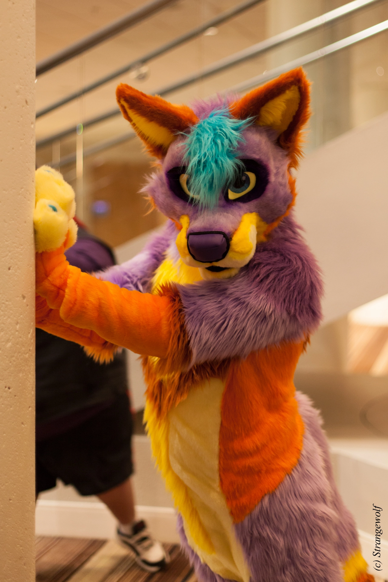 full image IMG_1796-lr19t.jpg