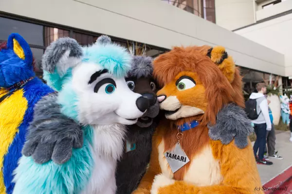 IMG_8349-lr19t.jpg of MFF/MFF2017/
