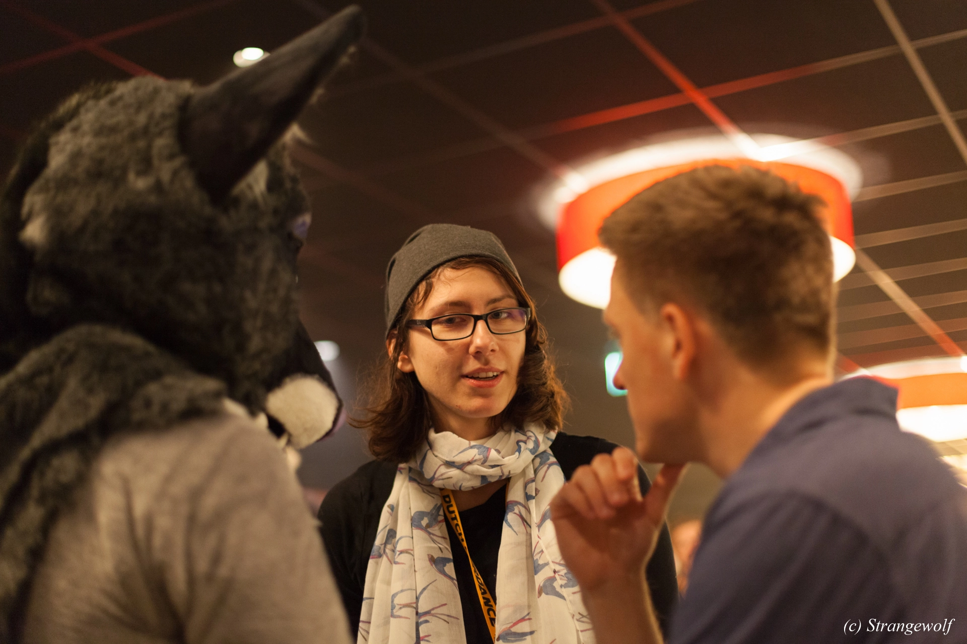 full image IMG_6371-lr19t.jpg