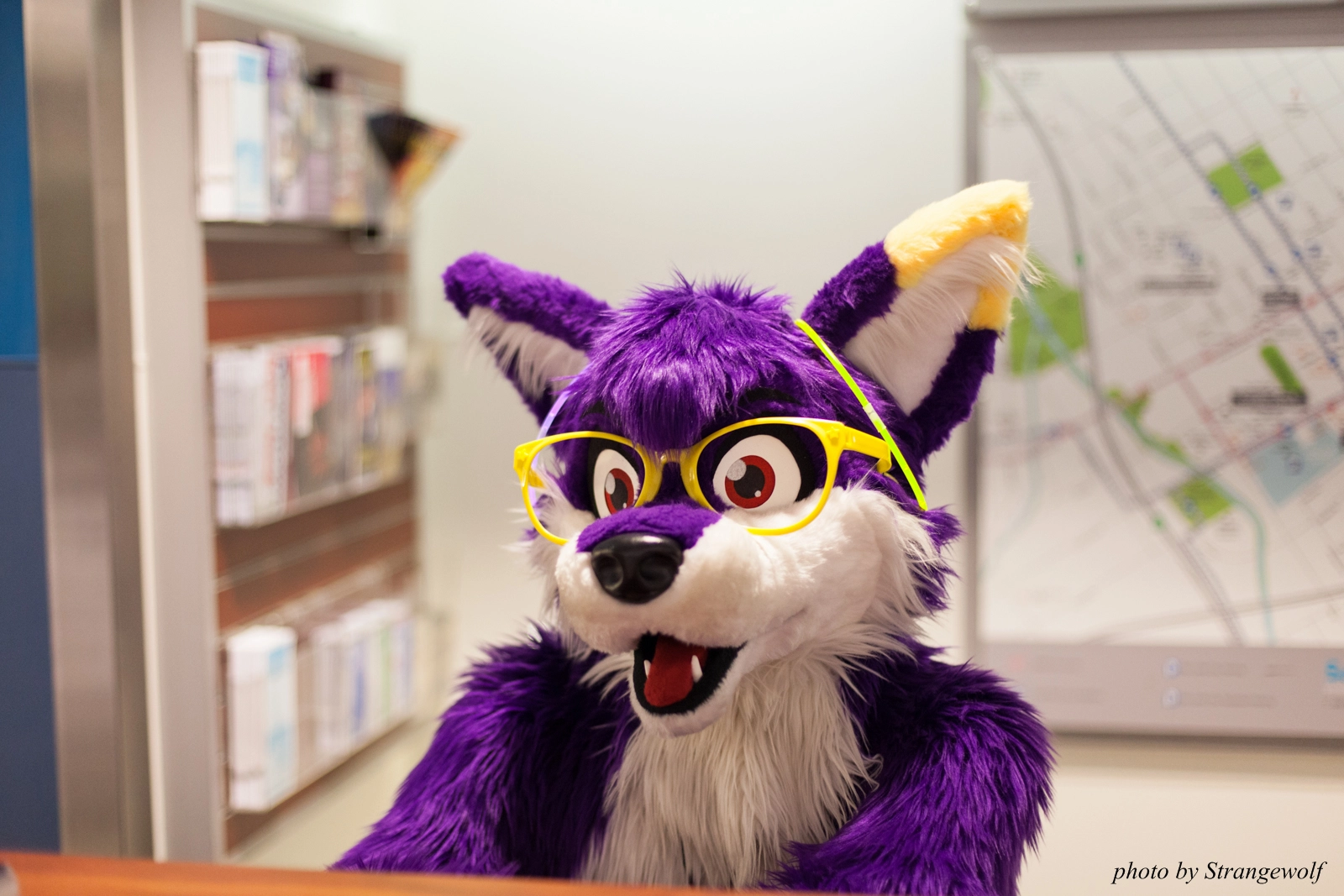 full image IMG_1371-lr16t.jpg