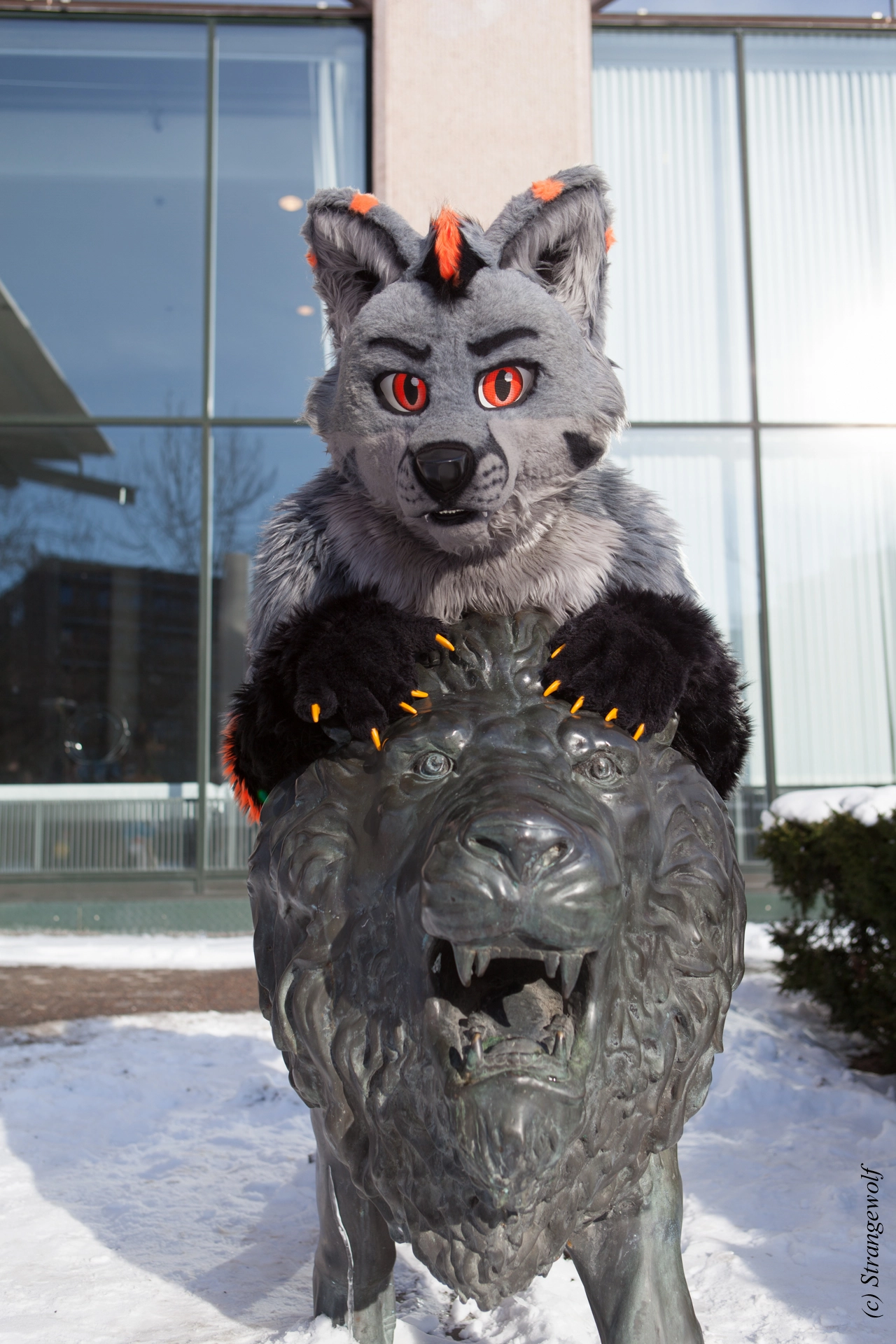 full image IMG_9700-lr19t.jpg