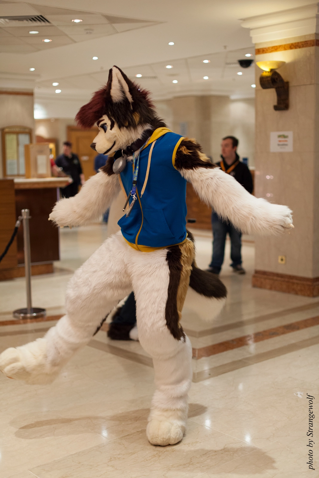 full image IMG_7609-lr16t.jpg