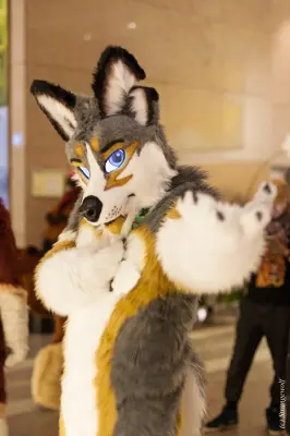 IMG_0835-lr19t.jpg of NFC/NFC2018/