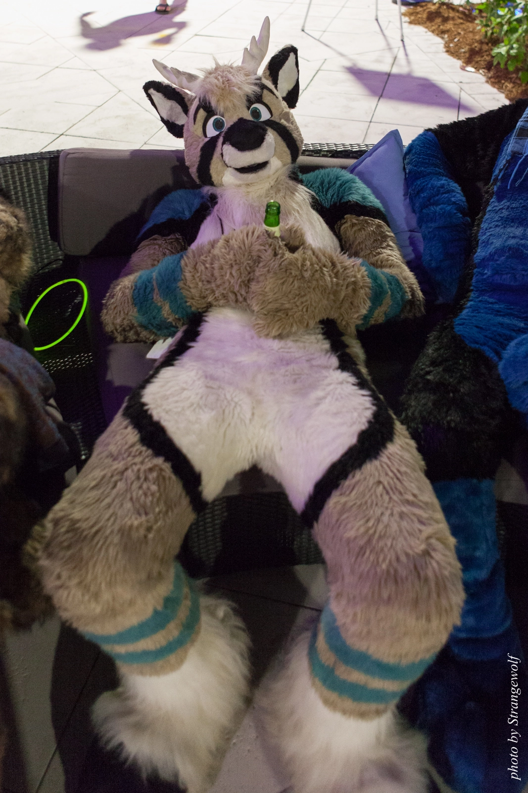 full image IMG_8639-lr16t.jpg