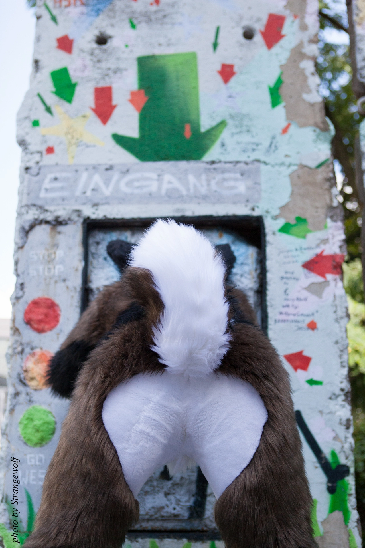 full image IMG_7047-lr19t.jpg