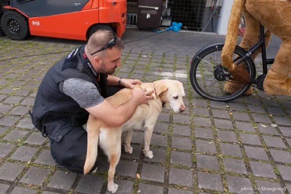 IMG_6975-lr16t.jpg of EF/EF23/