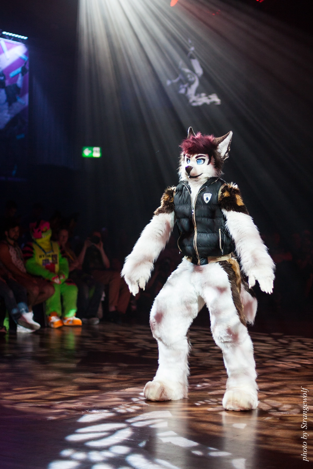 full image IMG_9379-lr16t.jpg