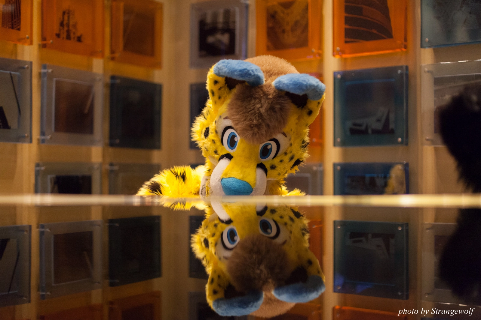 full image IMG_4240-lr16t.jpg