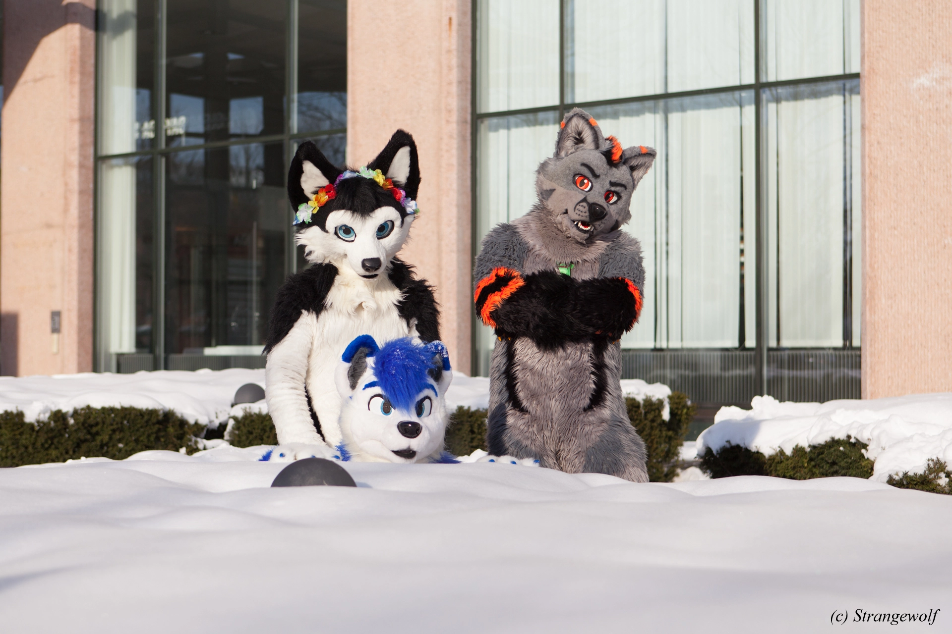 full image IMG_9973-lr19t.jpg