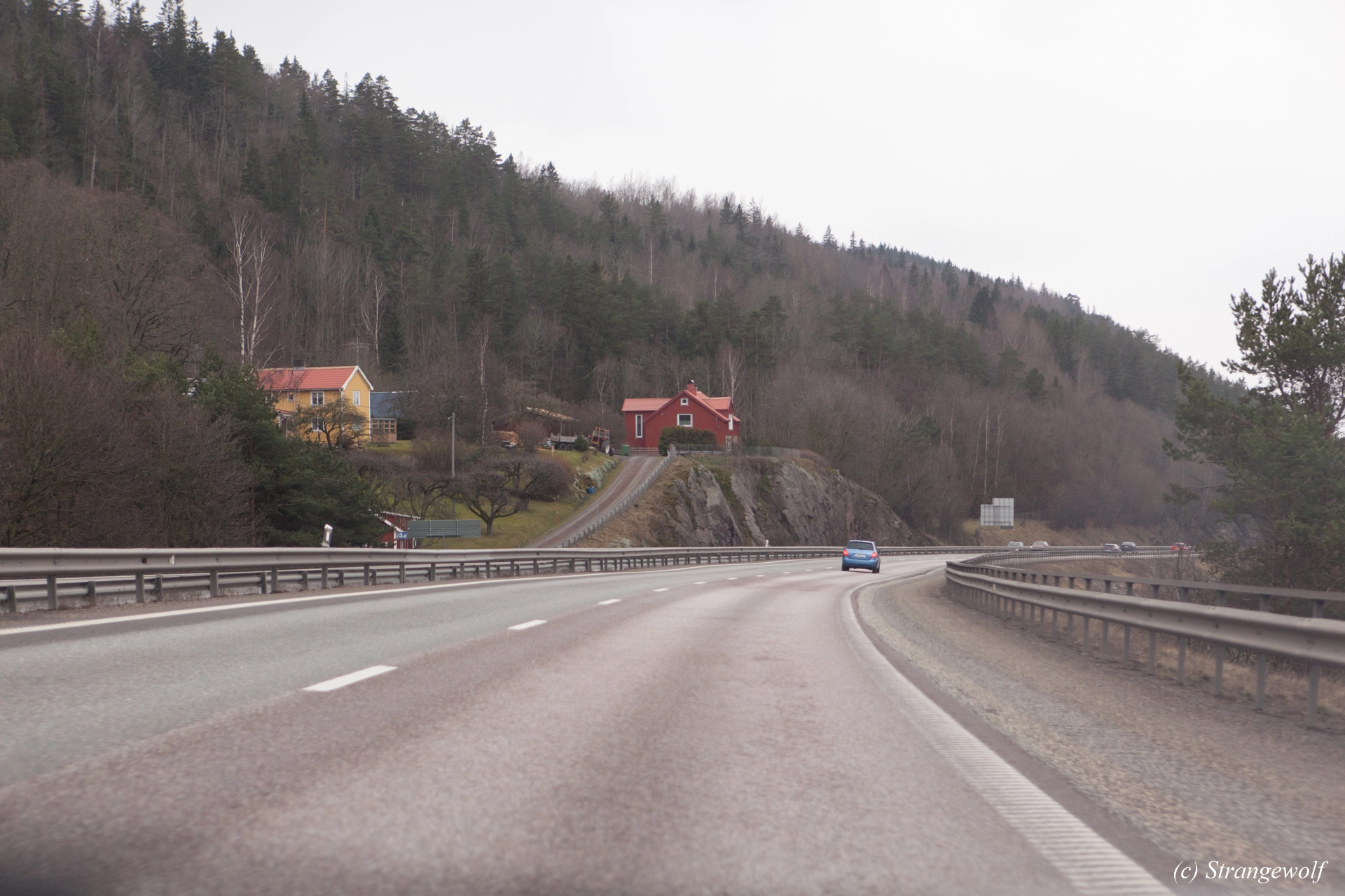 full image IMG_9997-lr19t.jpg