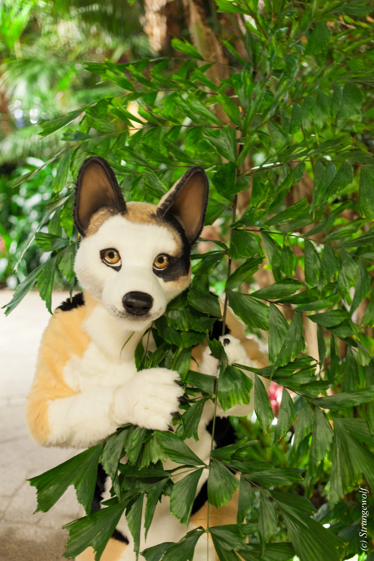 full image IMG_9791-lr19t.jpg