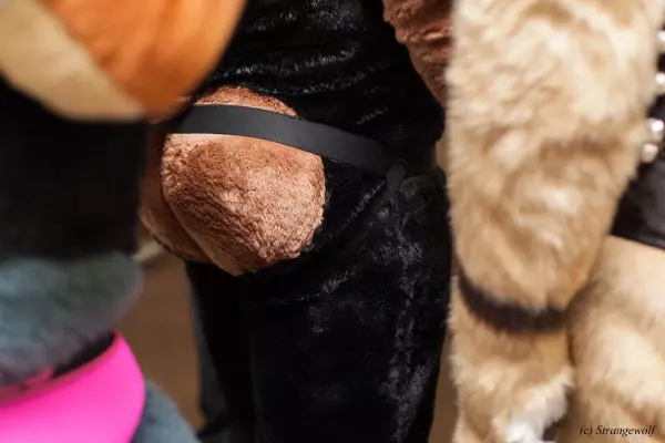 IMG_7597-lr19t.jpg of MFF/MFF2018/