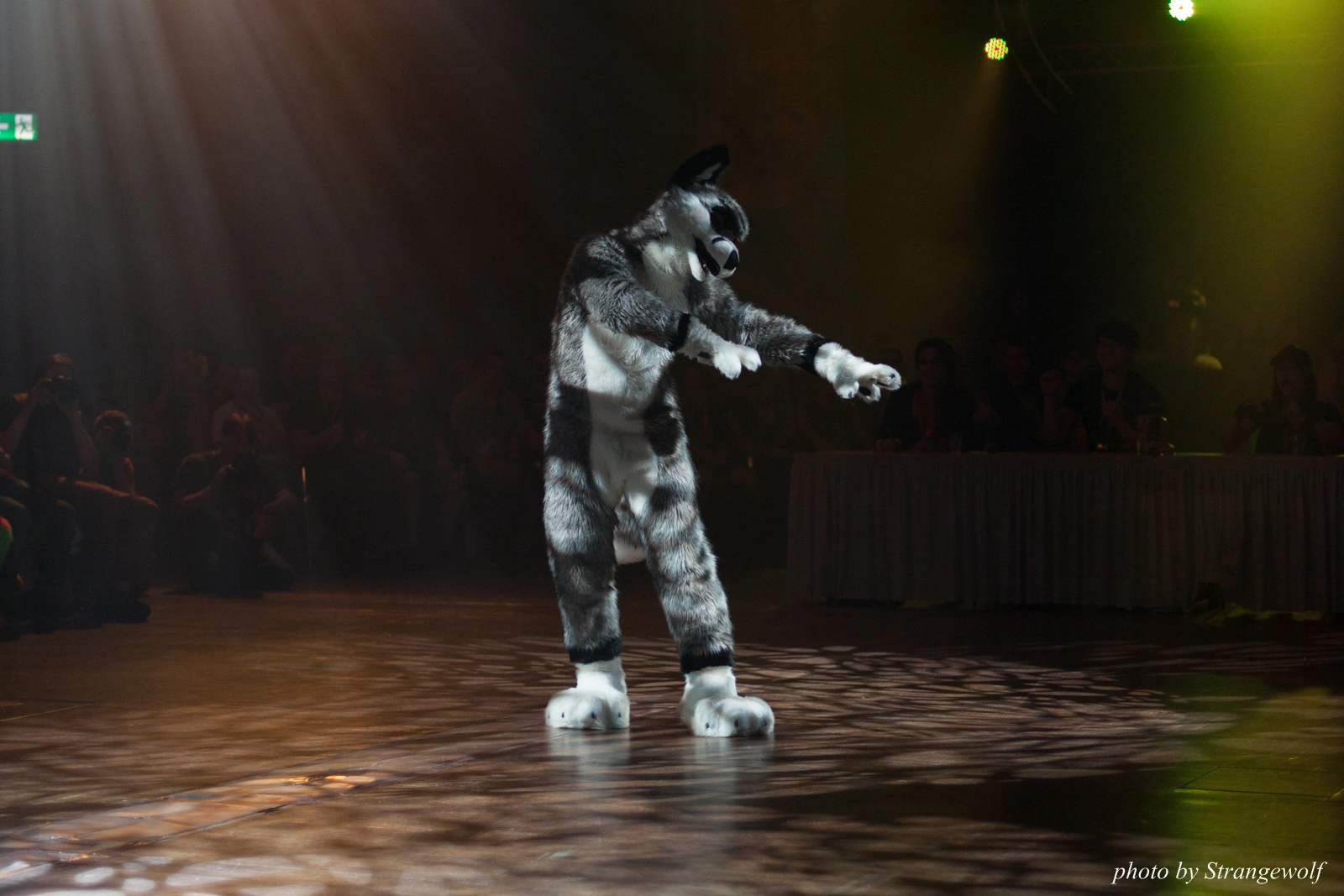 full image IMG_9305-lr16t.jpg