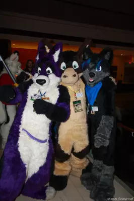 IMG_0813-lr.jpg of MFF/MFF2013/