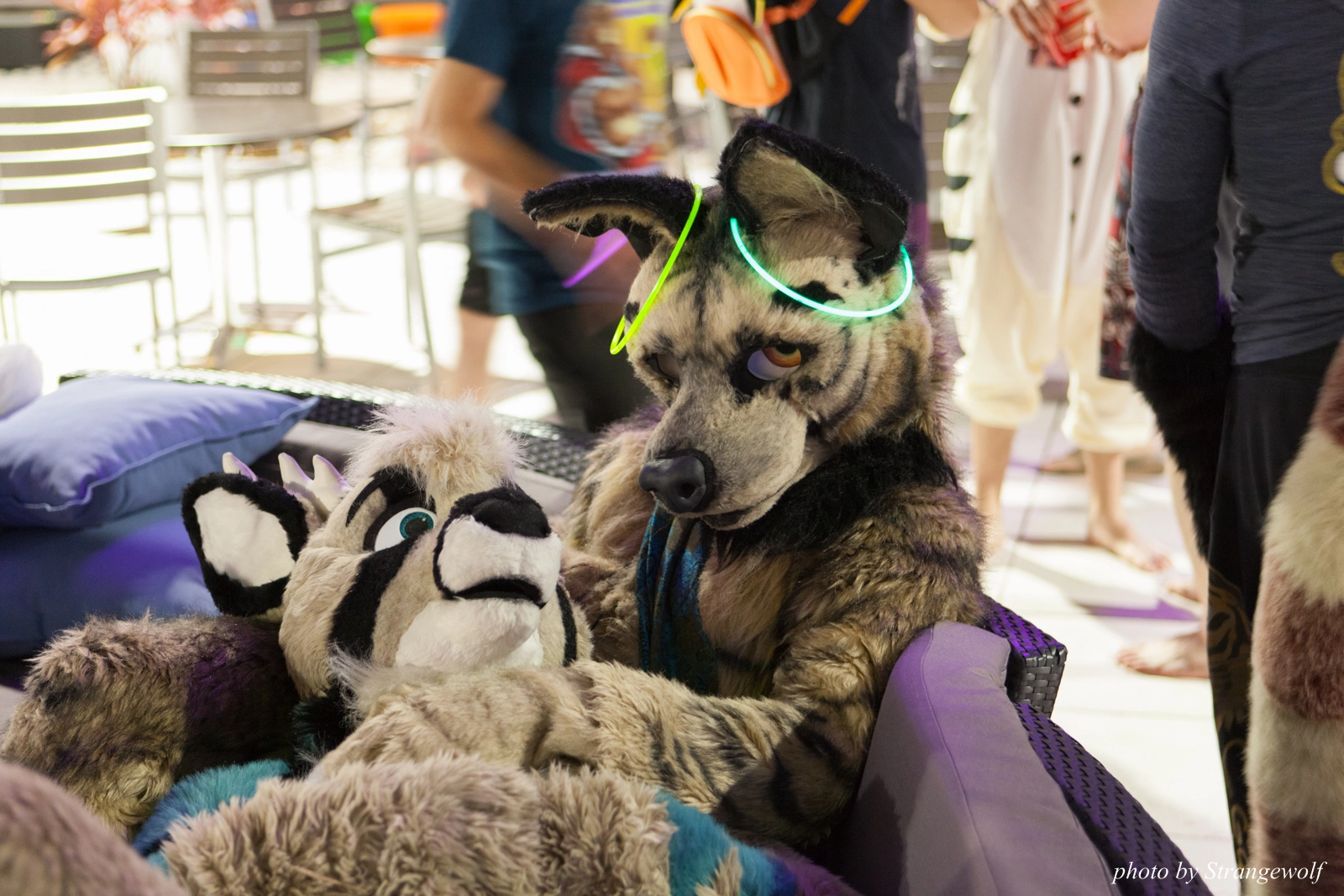 full image IMG_8672-lr16t.jpg