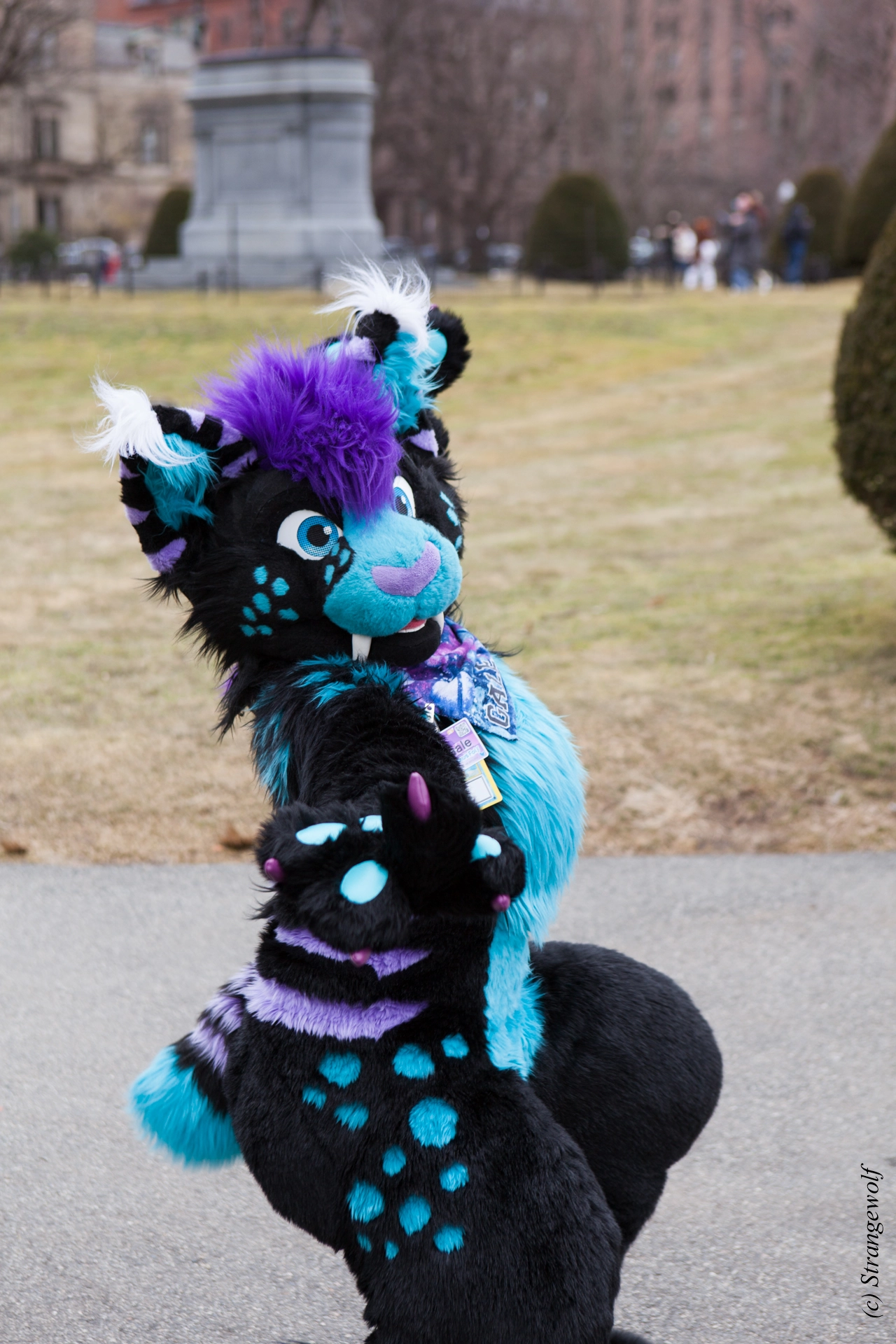 full image IMG_3140-lr19t.jpg