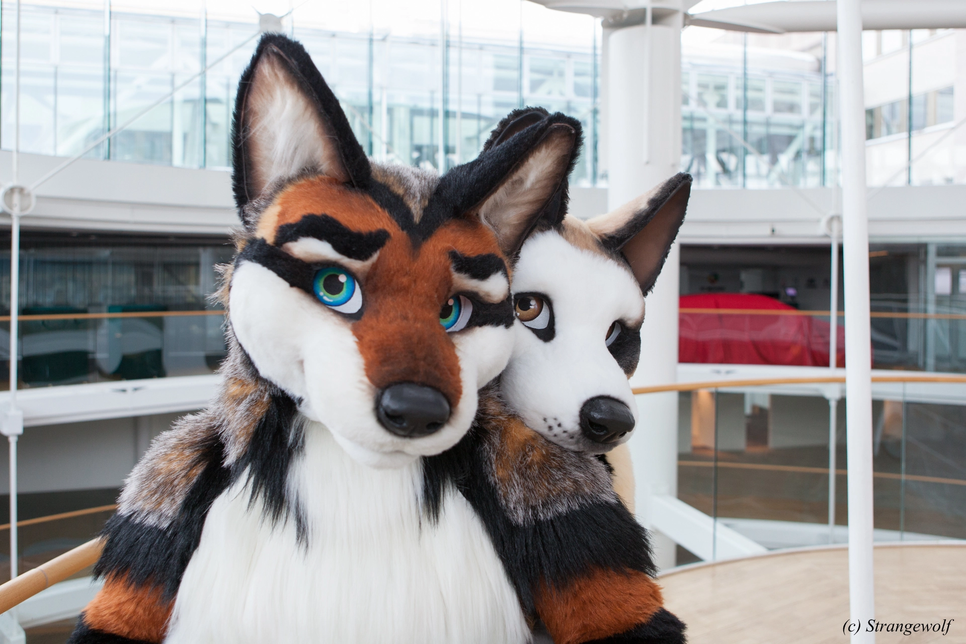 full image IMG_0476-lr19t.jpg