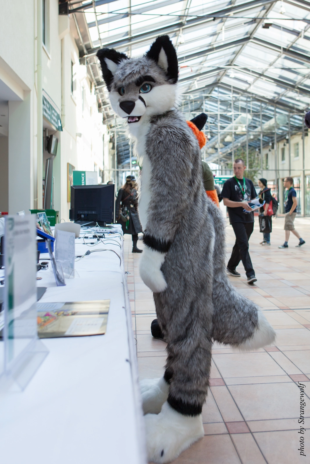 full image IMG_1872-lr16t.jpg