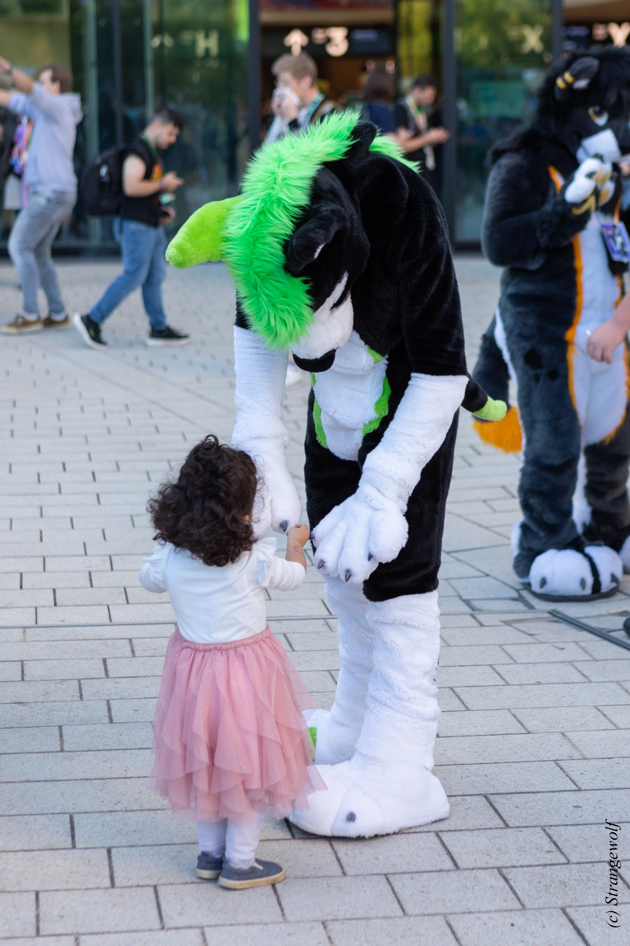 full image 1R3A9320-lr19t.jpg