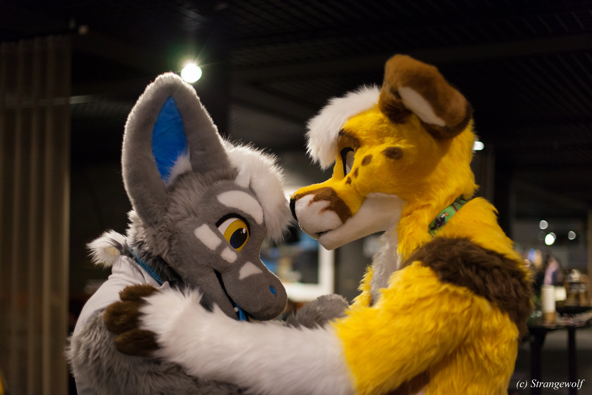 full image IMG_9172-lr19t.jpg