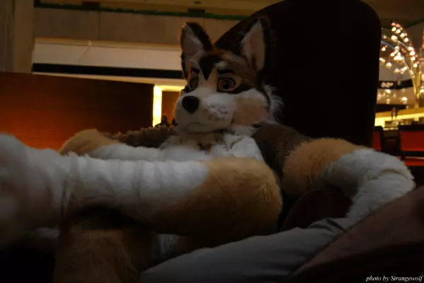 IMG_1083-lr.jpg of MFF/MFF2013/
