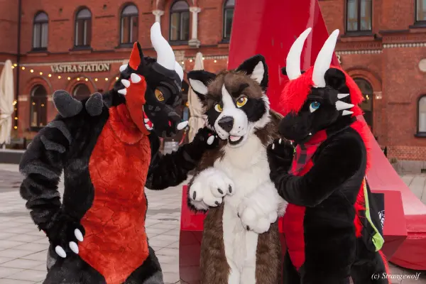 IMG_8975-lr19t.jpg of NFC/NFC2020/