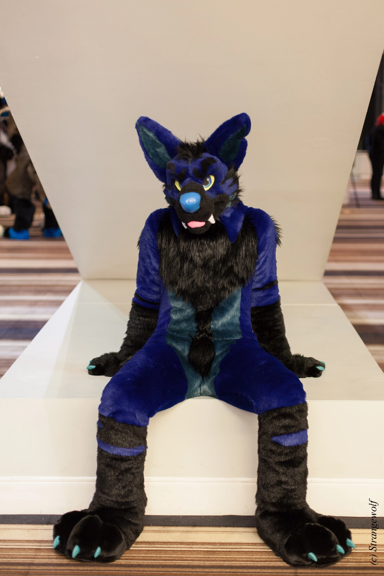 full image IMG_1844-lr19t.jpg