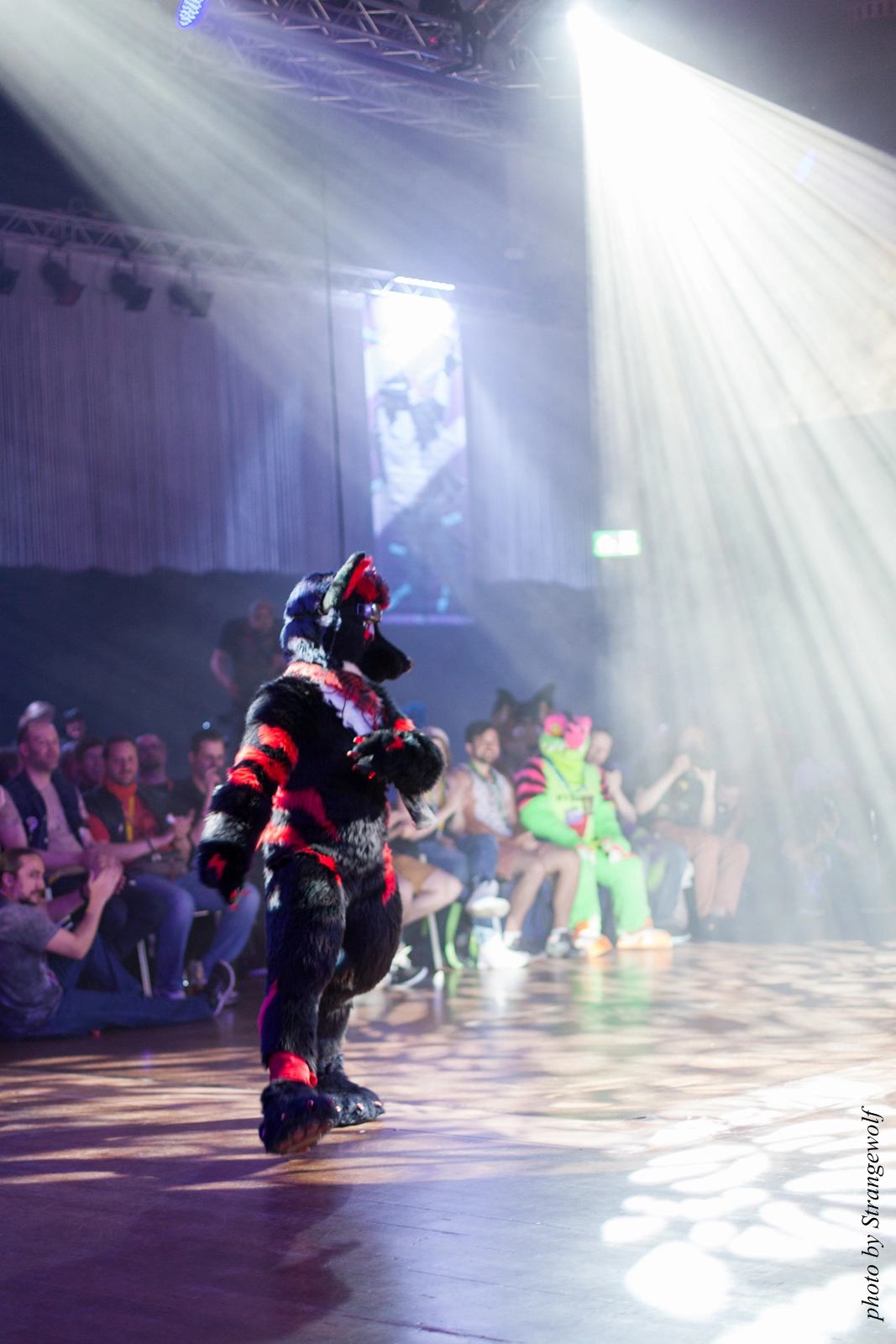 full image IMG_9151-lr16t.jpg