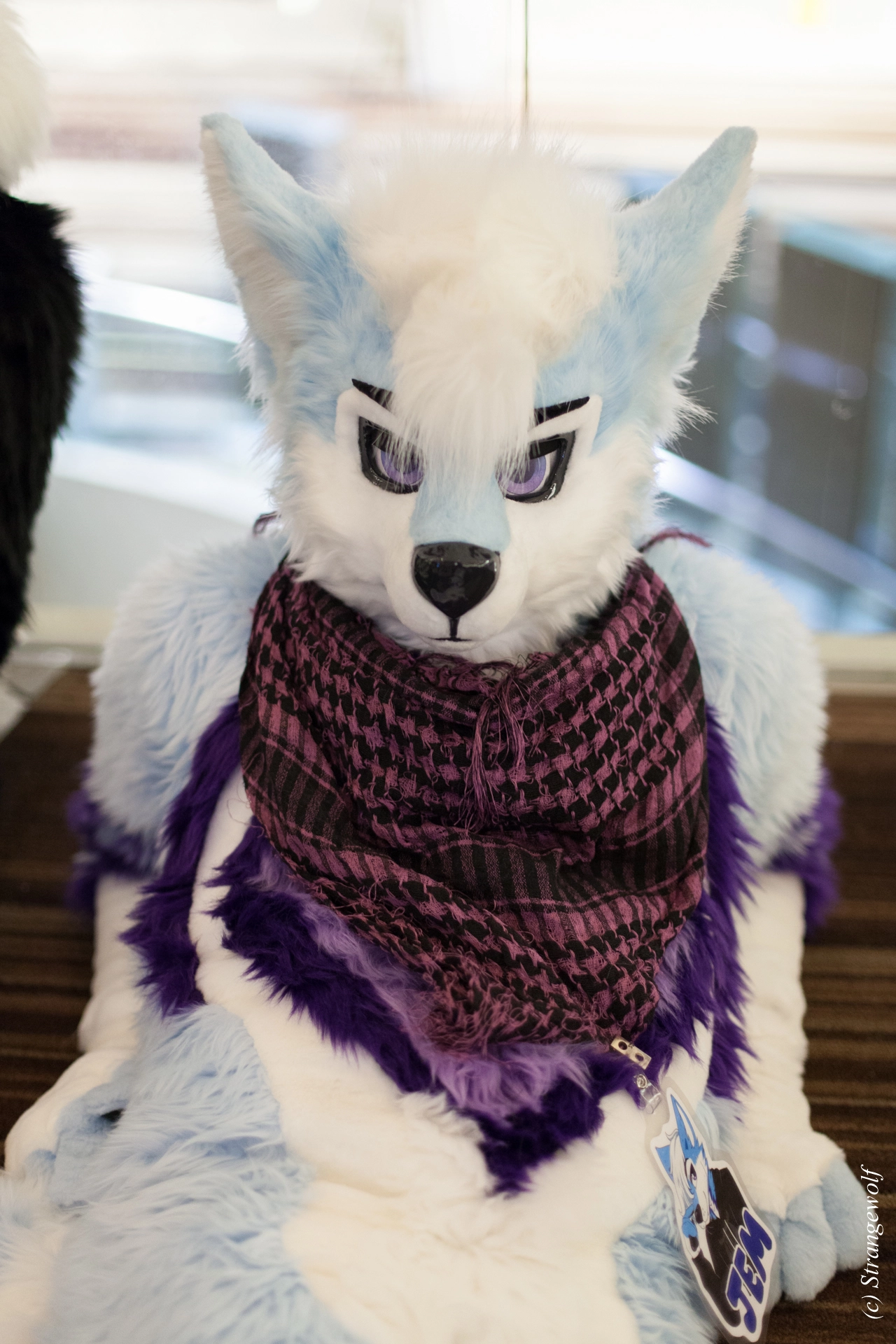 full image IMG_1888-lr19t.jpg