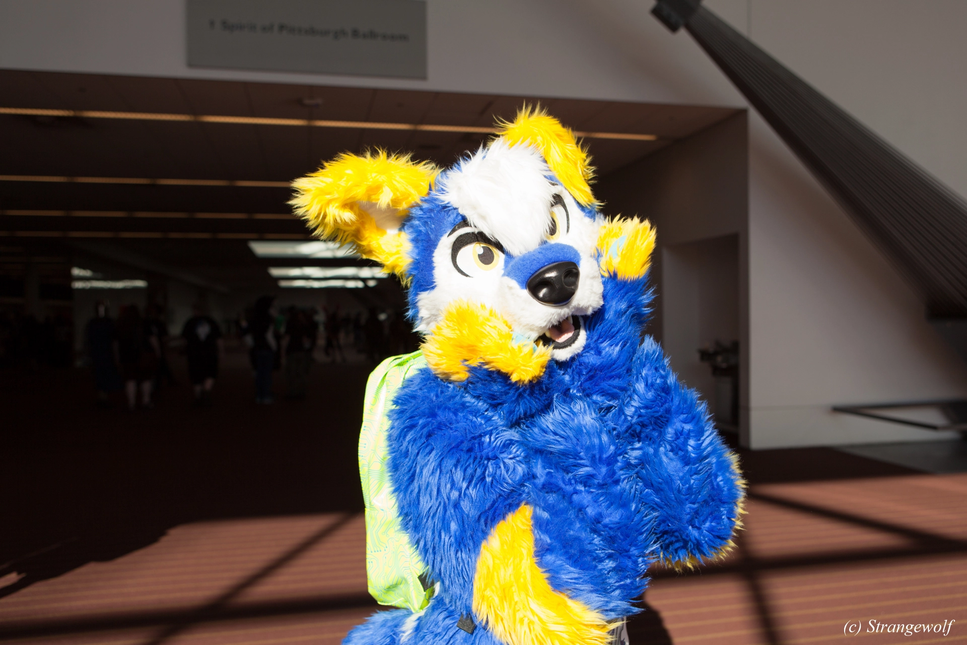 full image IMG_4360-lr19t.jpg