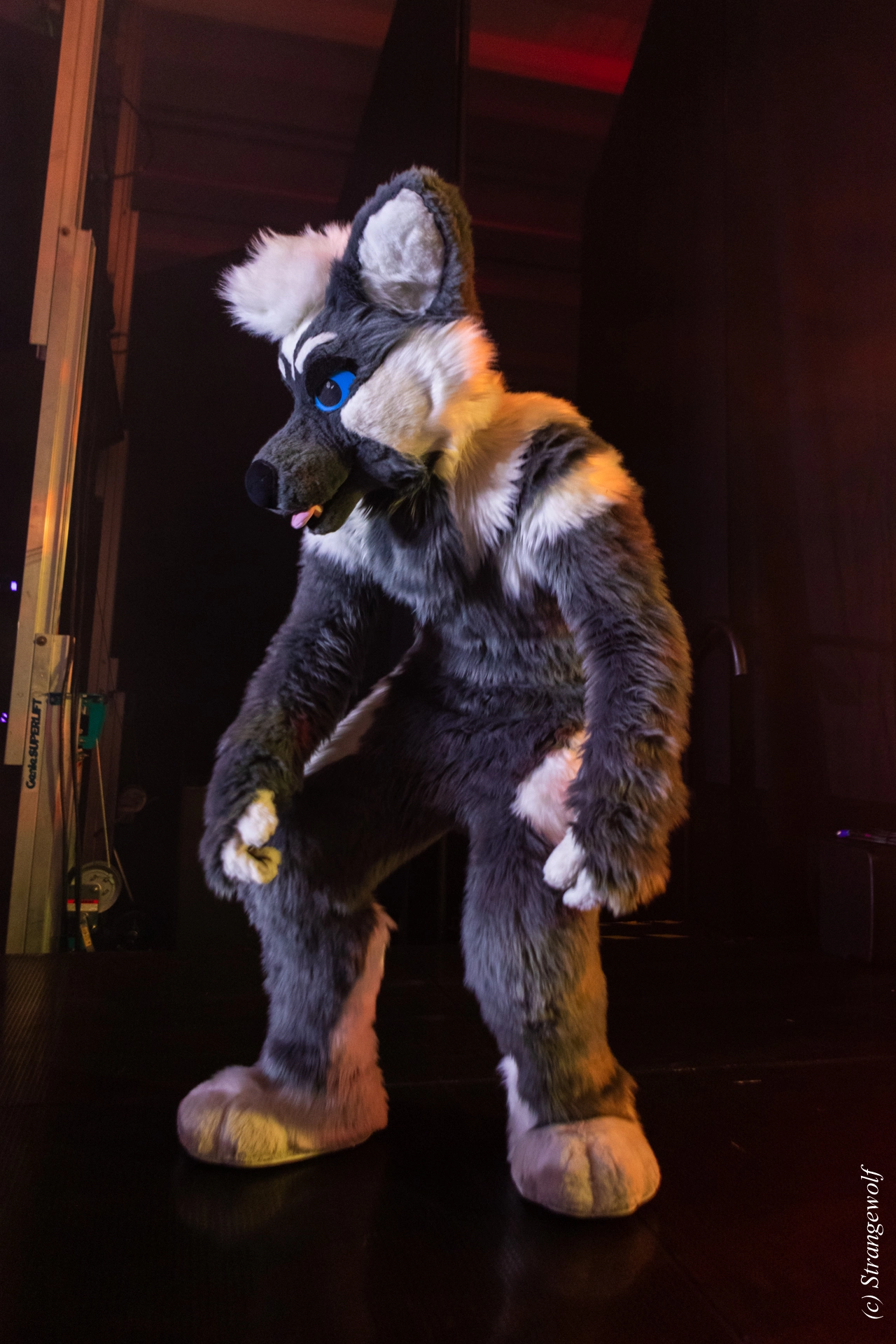 full image 1R3A4885-lr19t.jpg