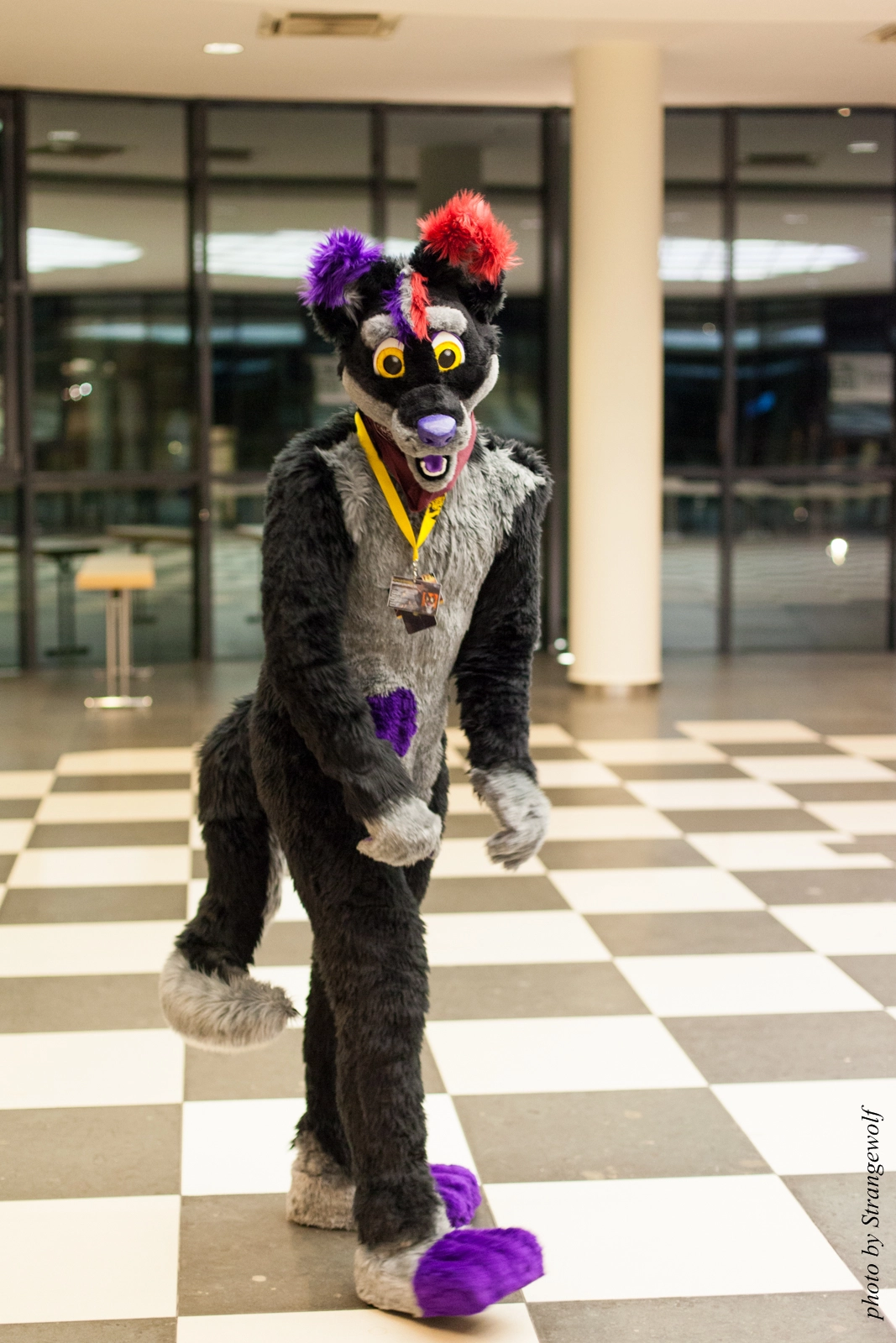 full image IMG_1967-lr16t.jpg