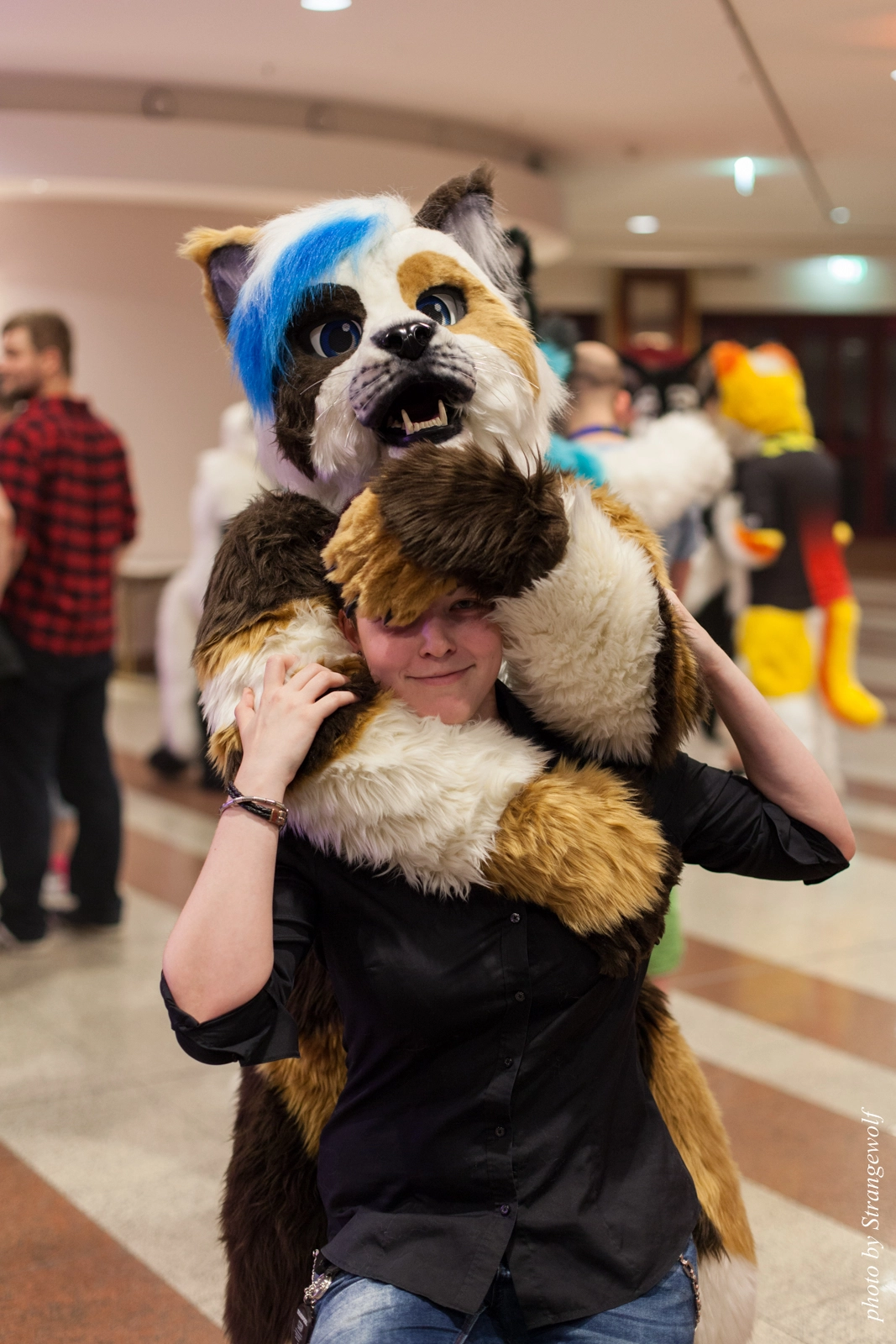 full image IMG_8630-lr16t.jpg