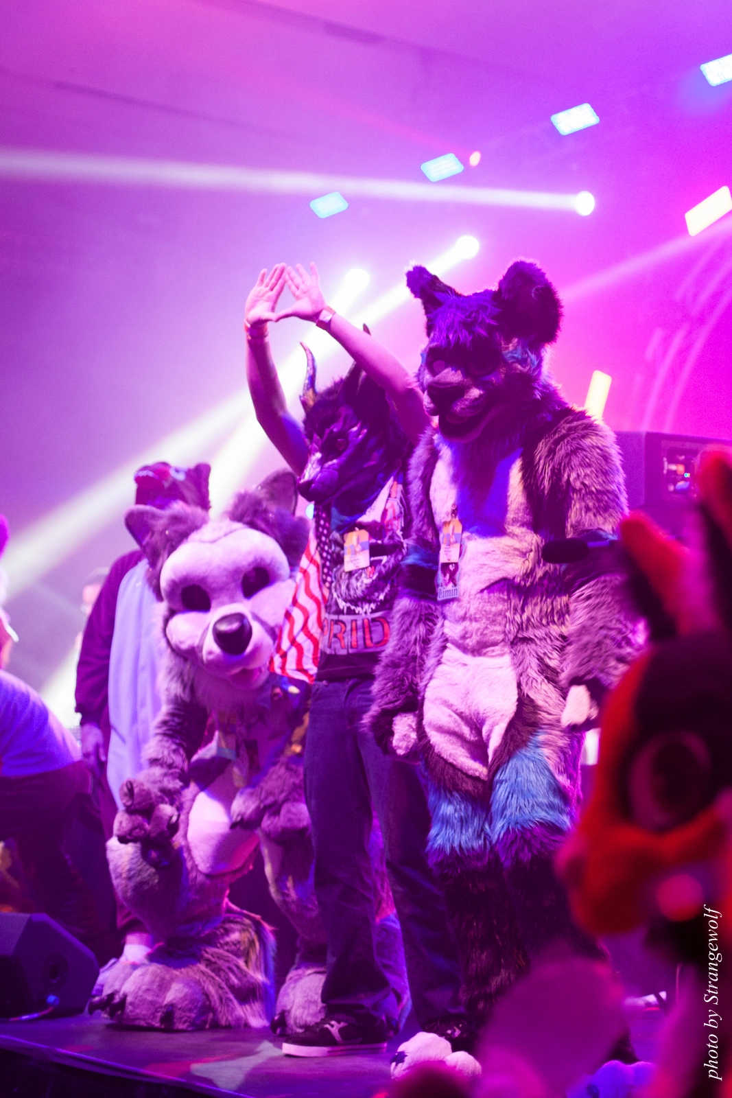 full image IMG_1227-lr16t.jpg