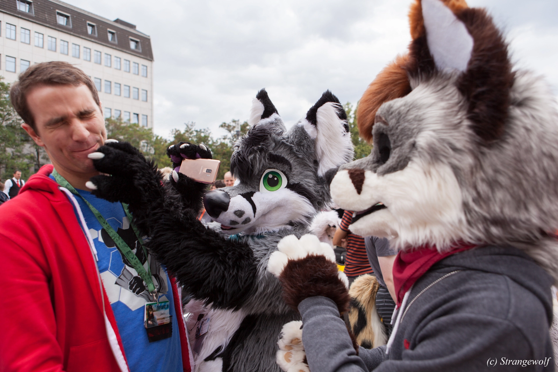 full image IMG_5257-lr19t.jpg