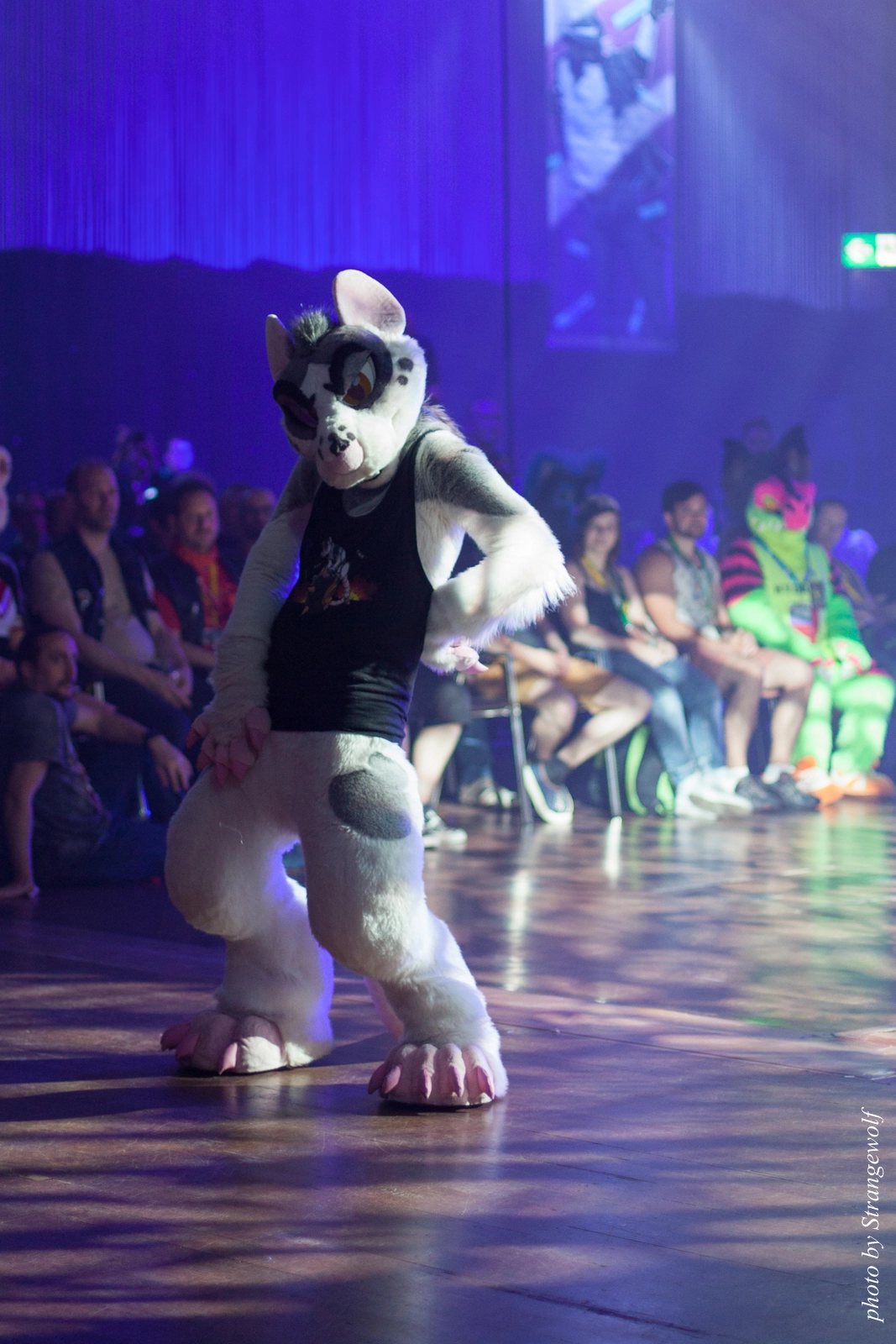 full image IMG_9094-lr16t.jpg