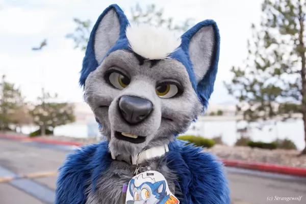 IMG_2657-lr19t.jpg of BLFC/2018/