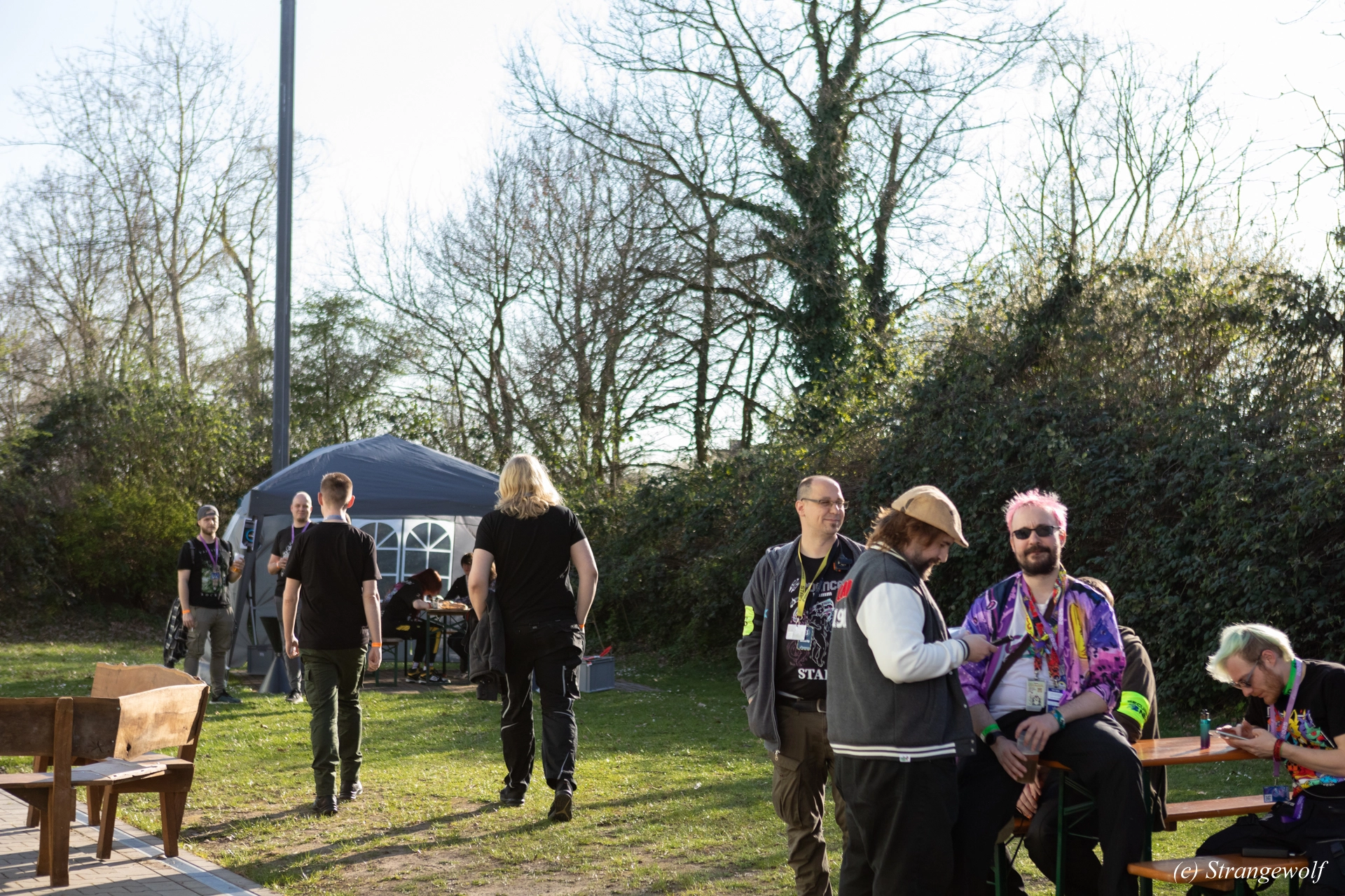 full image 1R3A7500-lr19t.jpg