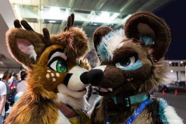 1R3A6393-lr19t.jpg of MFF/MFF2024/