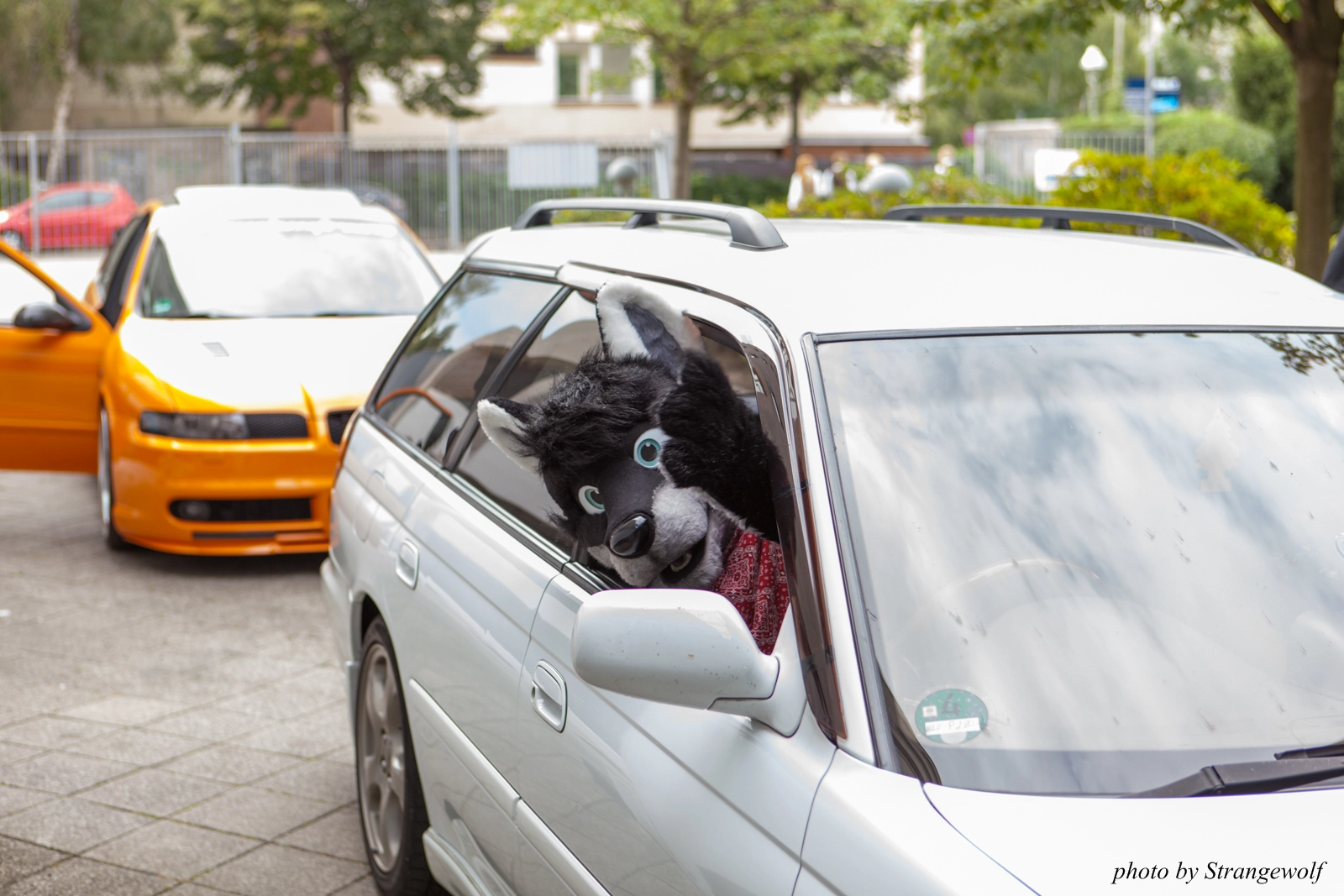 full image IMG_0167-lr16t.jpg