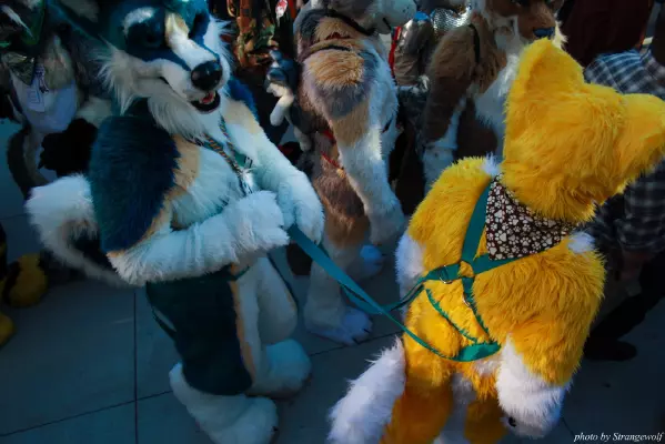 IMG_0673-lr.jpg of MFF/MFF2013/